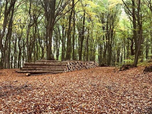 Land-/Forstwirtschaft zum Kauf 25.650 € 10.244 m² Grundstück Twiehausen Stemwede 32351