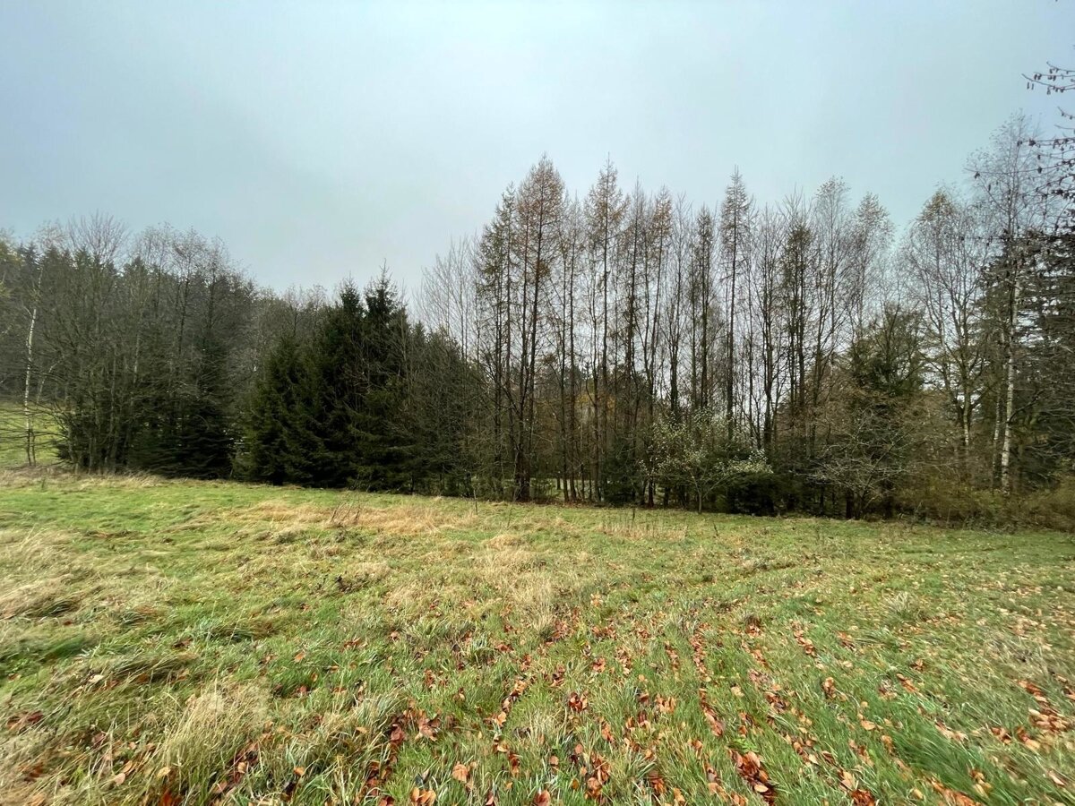 Land-/Forstwirtschaft zum Kauf 37.000 € 7.363 m²<br/>Grundstück Ellenfeld Ellenfeld