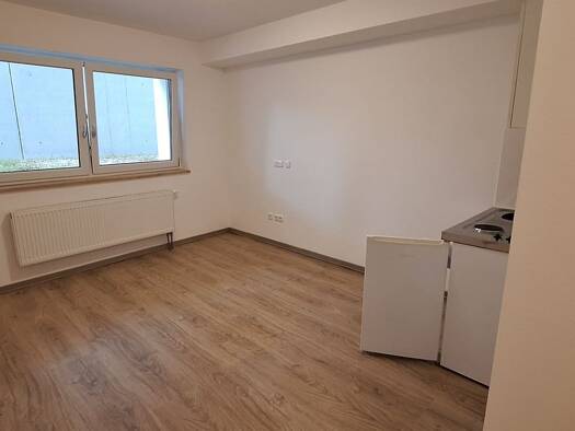 Wohnung zur Miete 505 € 1 Zimmer 22 m² Geschoss -1/4 frei ab sofort Kapuzinerstraße 71 a Innstadt Passau 94032