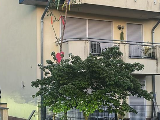 Terrassenwohnung zur Miete 1.100 € 3 Zimmer 100 m² Geschoss EG/2 frei ab 01.01.2026 Aurelianastr. 40 Geislar Bonn 53225