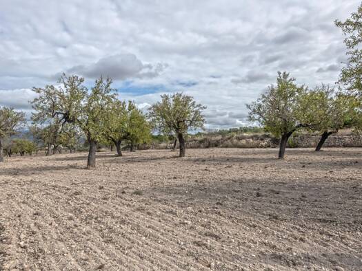 Freizeitgrundstück zum Kauf - Erstbezug provisionsfrei 1.200.000 € 21.432 m² Grundstück Marratxí 07141