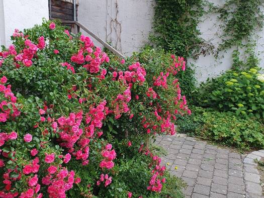 Maisonette zur Miete 950 € 3 Zimmer 95 m² Geschoss 2/3 frei ab 01.08.2026 Trostberg 83308