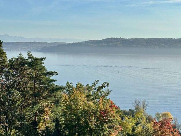 Wohnung zur Miete 1.600 € 3 Zimmer 126 m² 1. Geschoss frei ab 01.01.2026 Sipplingen 78354