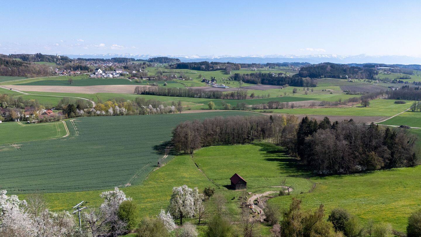 Einfamilienhaus zum Kauf, Grünkraut