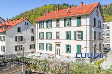 Mehrfamilienhaus zum Kauf 750.000 € 18 Zimmer 402,2 m² 361 m² Grundstück Kollnau Waldkirch 79183