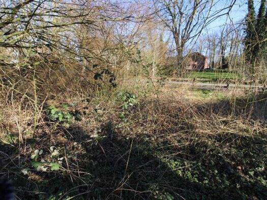 Grundstück zum Kauf 235.000 € 4.074 m² Grundstück Abbehausen Nordenham / Abbehausen 26954