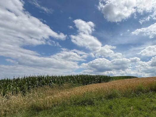 Land-/Forstwirtschaft zum Kauf 388.000 € 17.304 m² Grundstück Hundberg Taufkirchen 84574