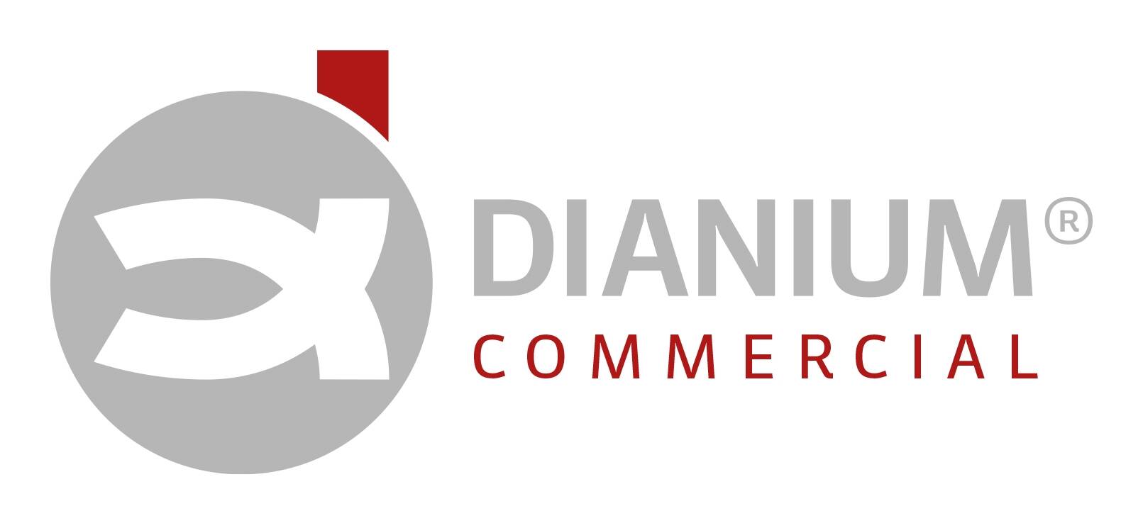 Dianium Inmo-Concept S.L.