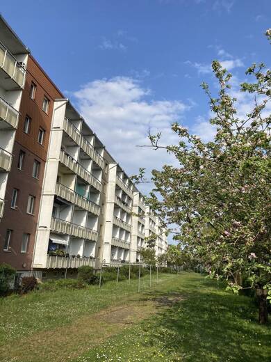 Wohnung zur Miete 475 € 2 Zimmer 50 m² frei ab sofort Südstadt Greifswald 17491