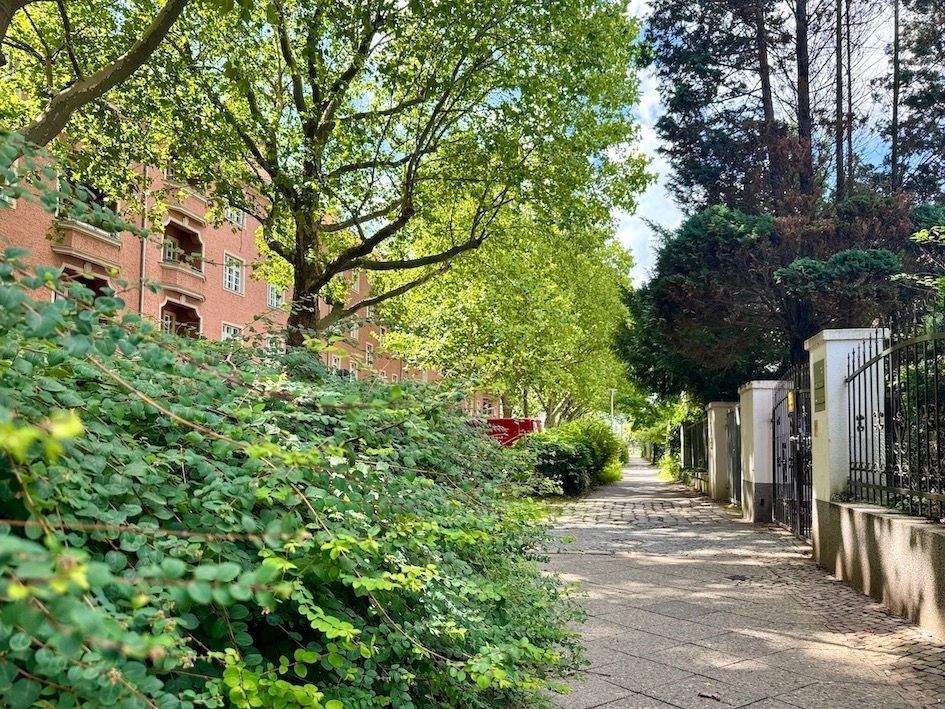 Property thumbnail 9