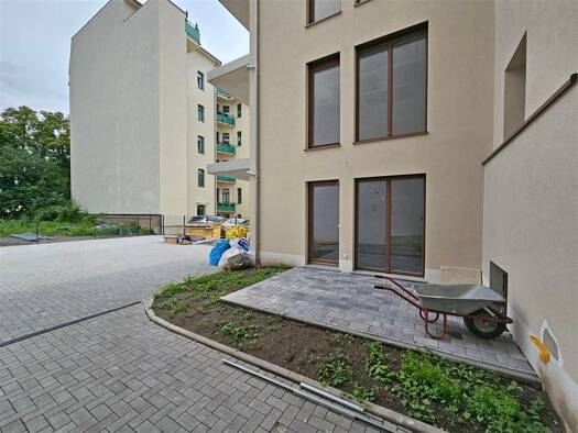 Wohnung zur Miete 1.100 € 3 Zimmer 80 m² EG frei ab sofort Dryanderstraße 14 Innenstadt Halle (Saale) 06110