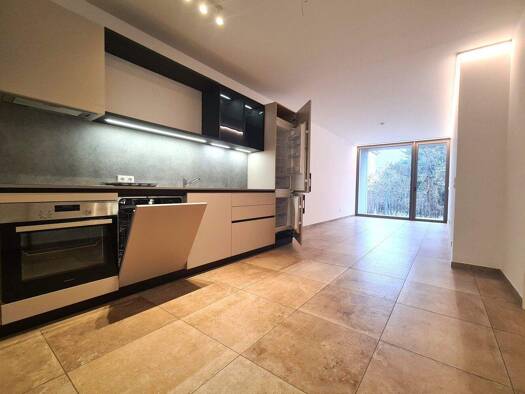 Wohnung zur Miete 777 € 2 Zimmer 62,7 m² EG Pitten 2823