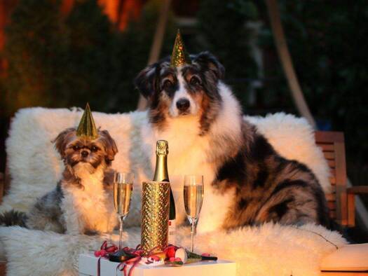 Haus zum Kauf 551.225 € 4 Zimmer 120 m² 501 m² Grundstück Bockum-Hövel Hamm 59085