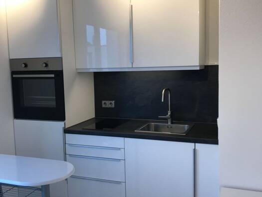 Wohnung zur Miete 530 € 1 Zimmer 20 m² Geschoss 2/3 frei ab 01.04.2026 Fürstenbergstraße 101 Fürstenberg Konstanz 78467