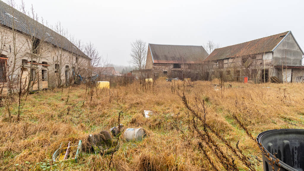 Grundstück zum Kauf 120.000 € 4.387 m² Grundstück Mahlsdorf Salzwedel / Mahlsdorf 29410
