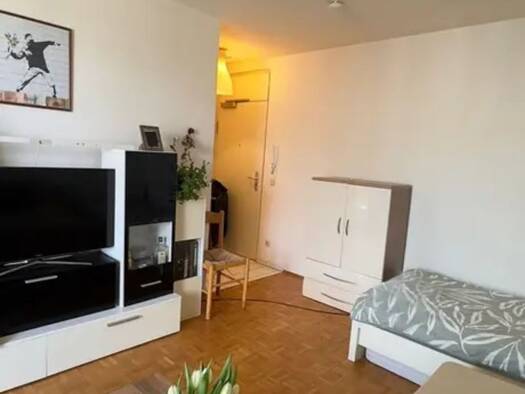 Studio zur Miete 630 € 1 Zimmer 30 m² Geschoss 1/4 frei ab 10.09.2026 Alicestraße 31 Neu-Isenburg Neu-Isenburg 63263