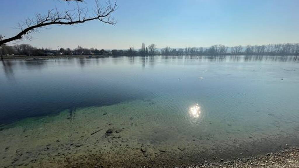 Bürogebäude zur Miete 1.445 € 81 m² Bürofläche Bleicherstraße 12 Industriegebiet Konstanz 78467