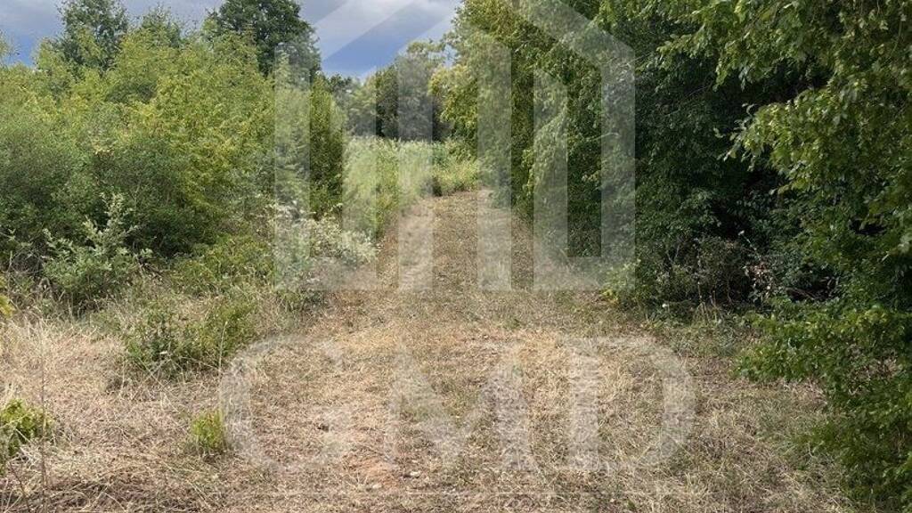 Land-/Forstwirtschaft zum Kauf 42.200 € Barbariga