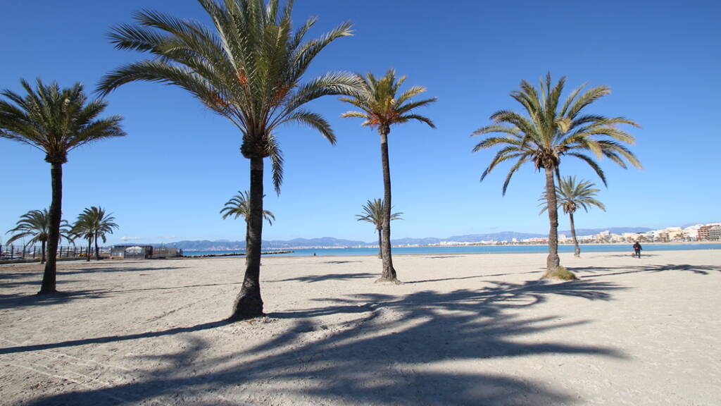 Wohnung zum Kauf 365.000 € 5 Zimmer 136 m² Arenal (S') 07600