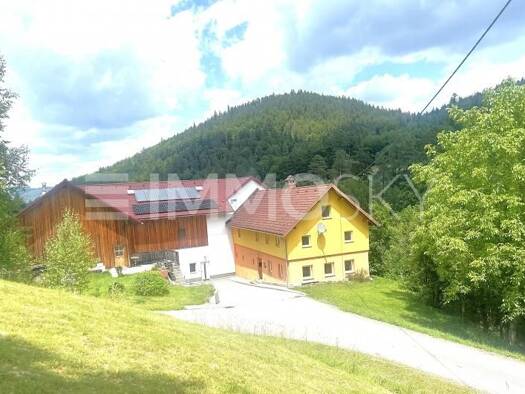 Bauernhaus zum Kauf 1.554.000 € 6 Zimmer 200 m² 119.547 m² Grundstück Rechberg 4324