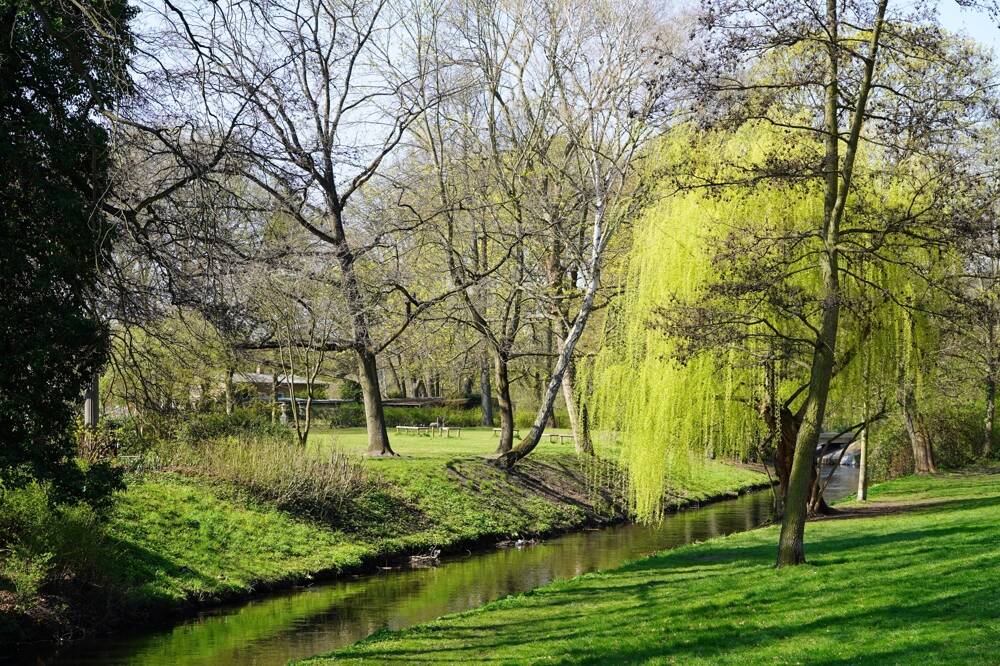 Property thumbnail 11