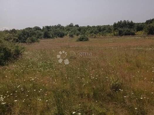 Acker-/Waldstück zum Kauf 382.100 € Krmed, Bale Bale 52211