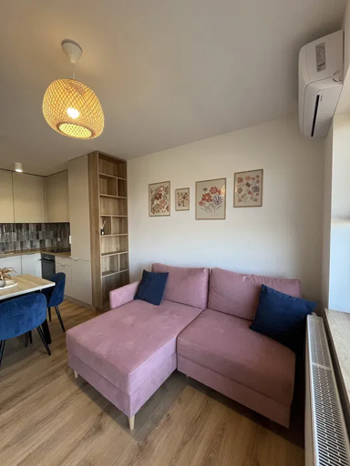 Wohnung zur Miete 550 € 2 Zimmer 51 m² Borken Borken 46325
