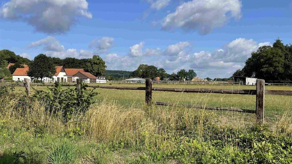 Haus zum Kauf 575.000 € 8 Zimmer 175 m² 35.118 m² Grundstück Oppendorf Stemwede 32351