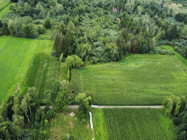 Land-/Forstwirtschaft zum Kauf 44.900 € 11.735 m² Grundstück Mietingen 88487