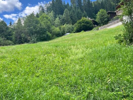 Grundstück zum Kauf 265.000 € 6.373 m² Grundstück Ulten 39016