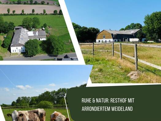 Haus zum Kauf 695.000 € 11 Zimmer 455 m² 24.140 m² Grundstück Nordhastedt / Fiel 25785