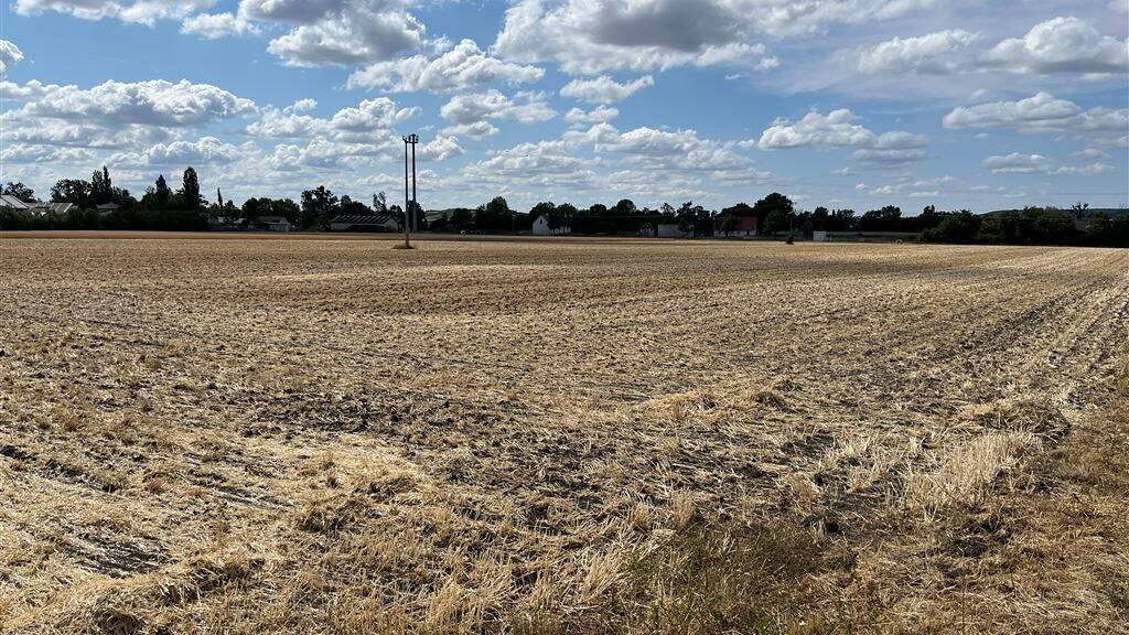 Land-/Forstwirtschaft zum Kauf 390.000 € 37.000 m² Grundstück Burg Hoheneck Ipsheim 91472