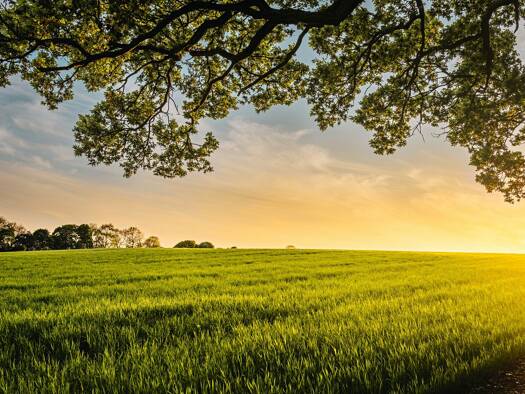 Land-/Forstwirtschaft zum Kauf 145.000 € 13.831 m² Grundstück Illertissen Illertissen 89257