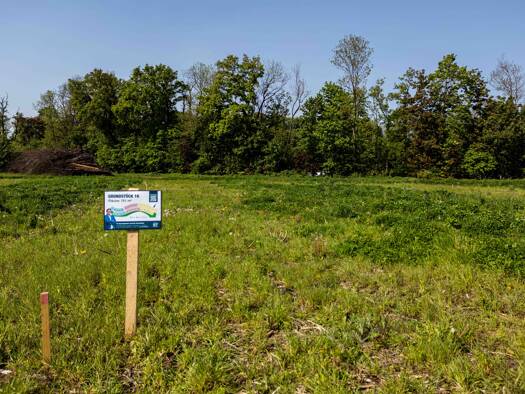 Grundstück zum Kauf 75.100 € 751 m² Grundstück frei ab sofort Altheim 4950