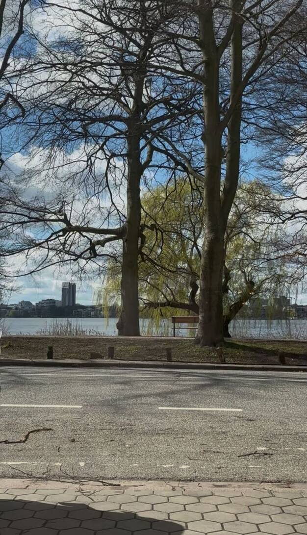 Wohnung zum Kauf 895.000 € 3 Zimmer 113 m² Schwanenwik 29 Uhlenhorst Hamburg 22087