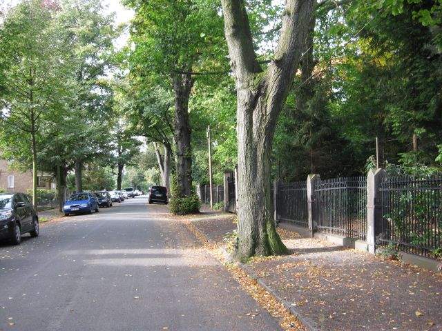 Property thumbnail 3