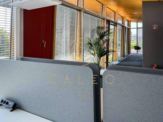 Bürofläche zur Miete provisionsfrei 50 m² Bürofläche teilbar ab 1 m² Rüsselsheim Rüsselsheim am Main 65428