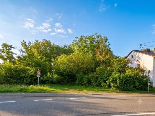 Land-/Forstwirtschaft zum Kauf 3.000 € 789 m² Grundstück Trierer Straße Heusweiler Heusweiler 66265
