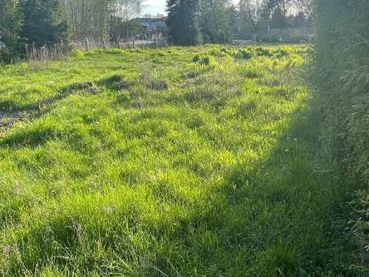 Grundstück zum Kauf 600.000 € 1.331 m² Grundstück Bestensee 15741