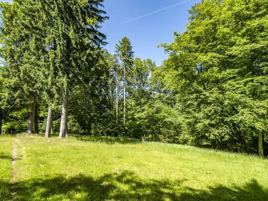 Grundstück zum Kauf 650.000 € 3.678 m² Grundstück Lemsahl-Mellingstedt Wandsbek 22397