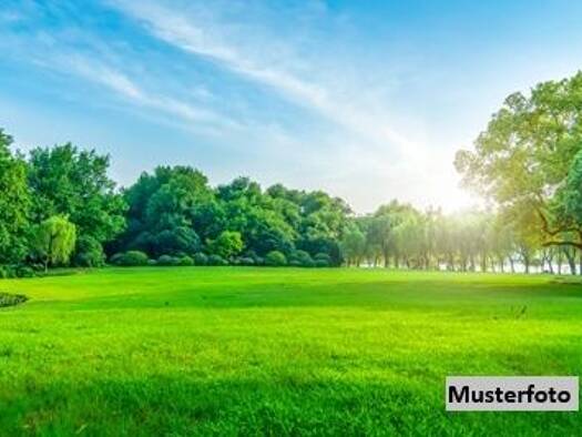Land-/Forstwirtschaft zum Kauf 8.934 € 4.316 m² Grundstück Natschbach-Loipersbach 2620