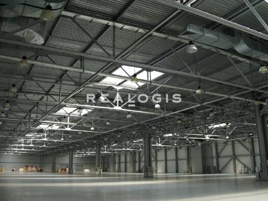 Halle/Industriefläche zur Miete 5.250 m² Lagerfläche Frankenthal Frankenthal (Pfalz) 67227