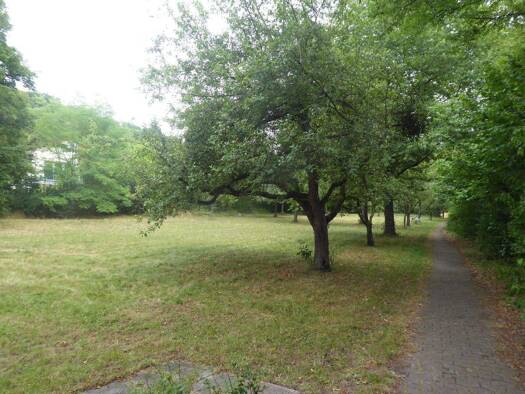 Grundstück zum Kauf 250.000 € 3.157 m² Grundstück Scheinfeld 91443