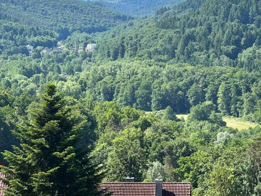 Doppelhaushälfte zum Kauf 339.000 € 6 Zimmer 173,2 m² 587 m² Grundstück Busenbach Waldbronn 76337
