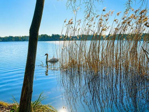 Grundstück zum Kauf 169.000 € 897 m² Grundstück Klausdorf Am Mellensee 15838