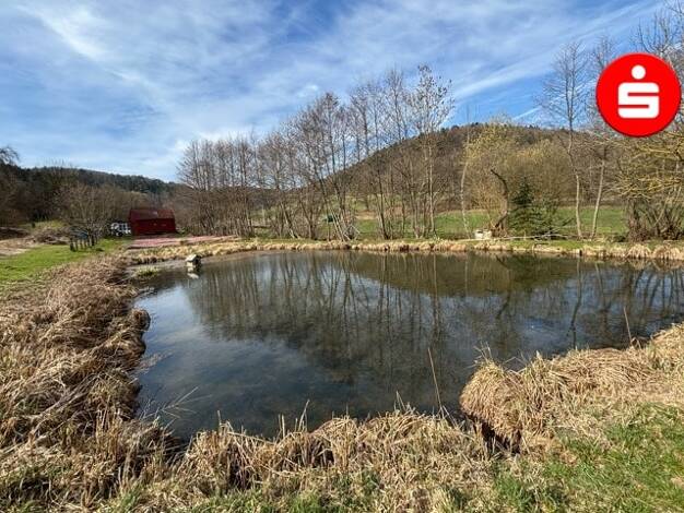 Teich-/Fischwirtschaft zum Kauf 69.000 € 1.954 m² Grundstück Vorra 91247
