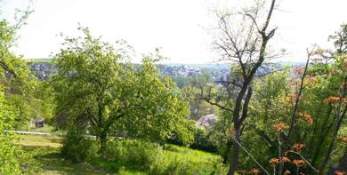 Grundstück zur Versteigerung als Kapitalanlage geeignet 44.600 € 1.144 m² Grundstück Oberer Adelbergweg Versbach Würzburg 97078