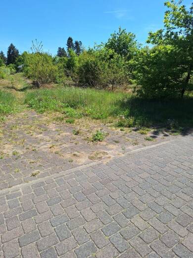 Grundstück zum Kauf 20.000 € 620 m² Grundstück Gorleben Gorleben 29475