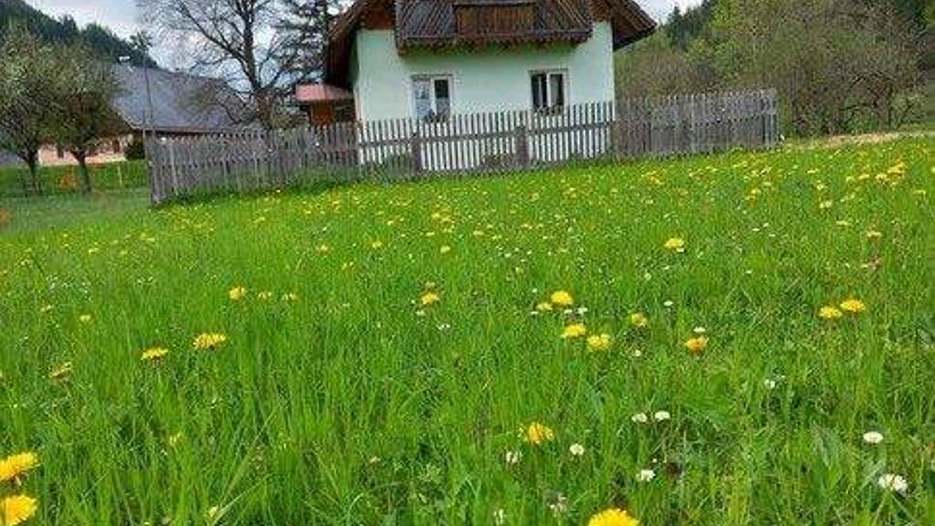 Bauernhaus zum Kauf provisionsfrei 165.000 € 2 Zimmer 55 m² 4.789 m² Grundstück frei ab sofort Schwarzviertel 20 Möderbrugg 8763