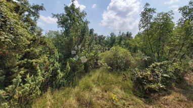 Land-/Forstwirtschaft zum Kauf 70.000 € Hreljici 52206